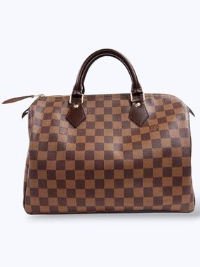 Louis Vuitton Damier Ebene Speedy 30 Custom Owl Accent